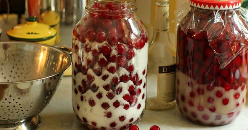 Созрела вишня! Отбираю самую сочную, самую вкусную — и в банку Созрела вишня! Отбираю самую сочную, самую вкусную — и в банку