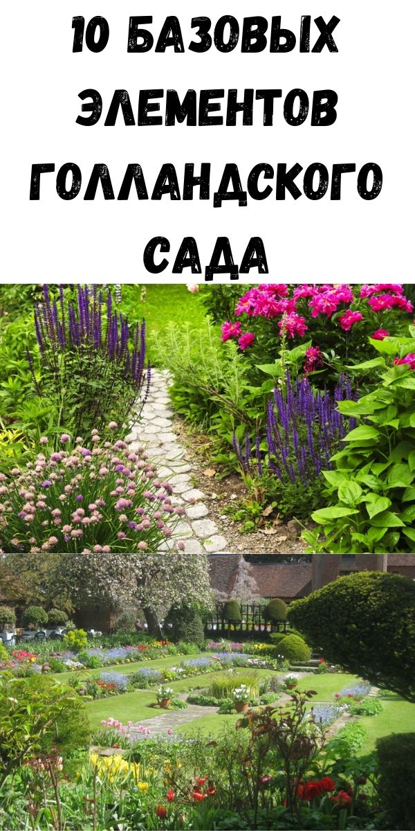 10 базовых элементов голландского сада