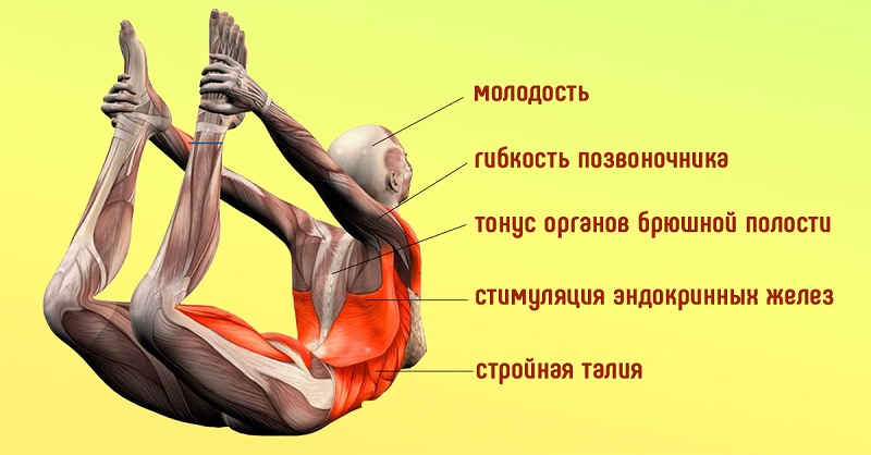 &laquo;Поза лука&raquo; для женщин за 40: стимуляция эндокринных желез