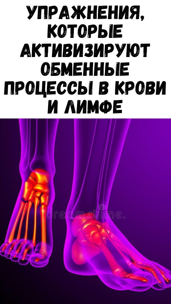 Упражнения, которые активизируют обменные процессы в крови и лимфе Упражнения, которые активизируют обменные процессы в крови и лимфе