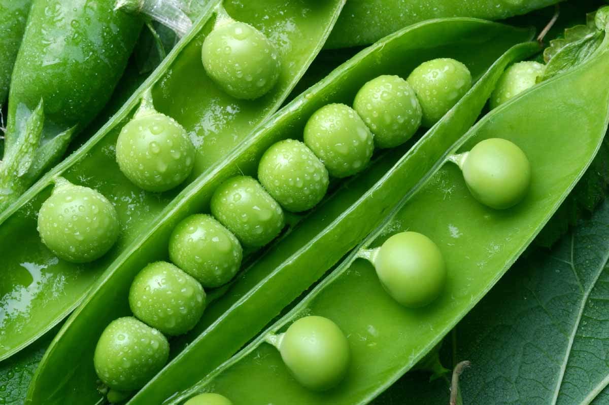 Секреты красоты и здоровья: продукты, которые сделают вас моложе Секреты красоты и здоровья: продукты, которые сделают вас моложе