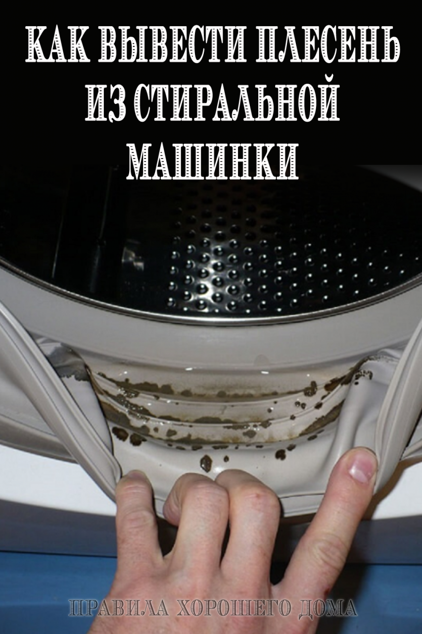 Плесень в стиральной машинке: как ее правильно убрать