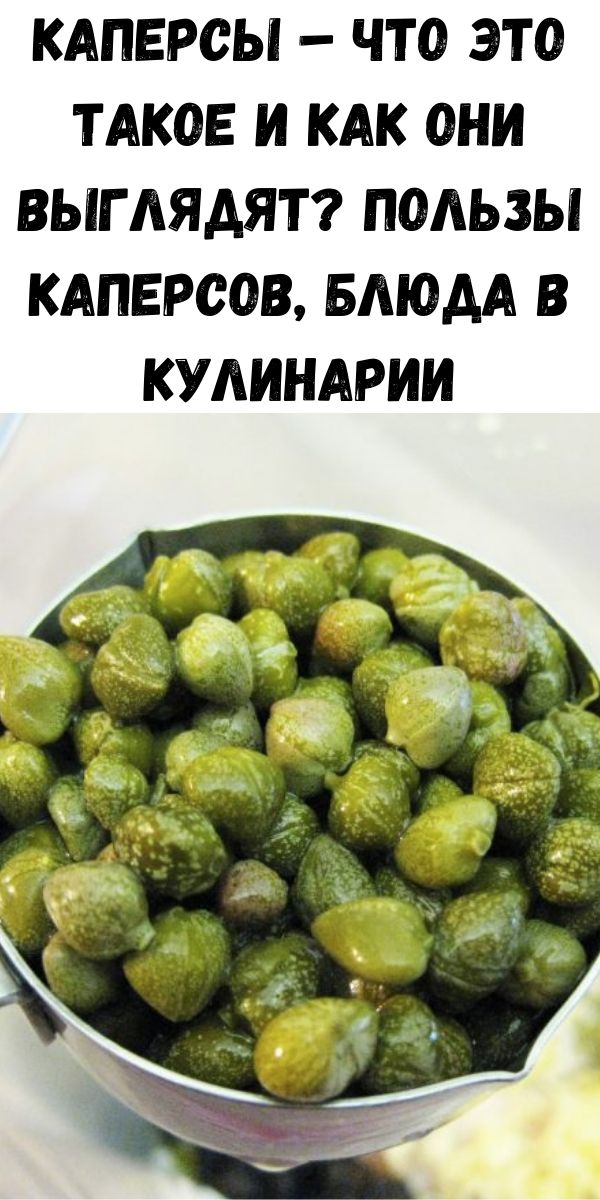 Каперсы &ndash; что это такое и как они выглядят? Пользы каперсов, блюда в кулинарии