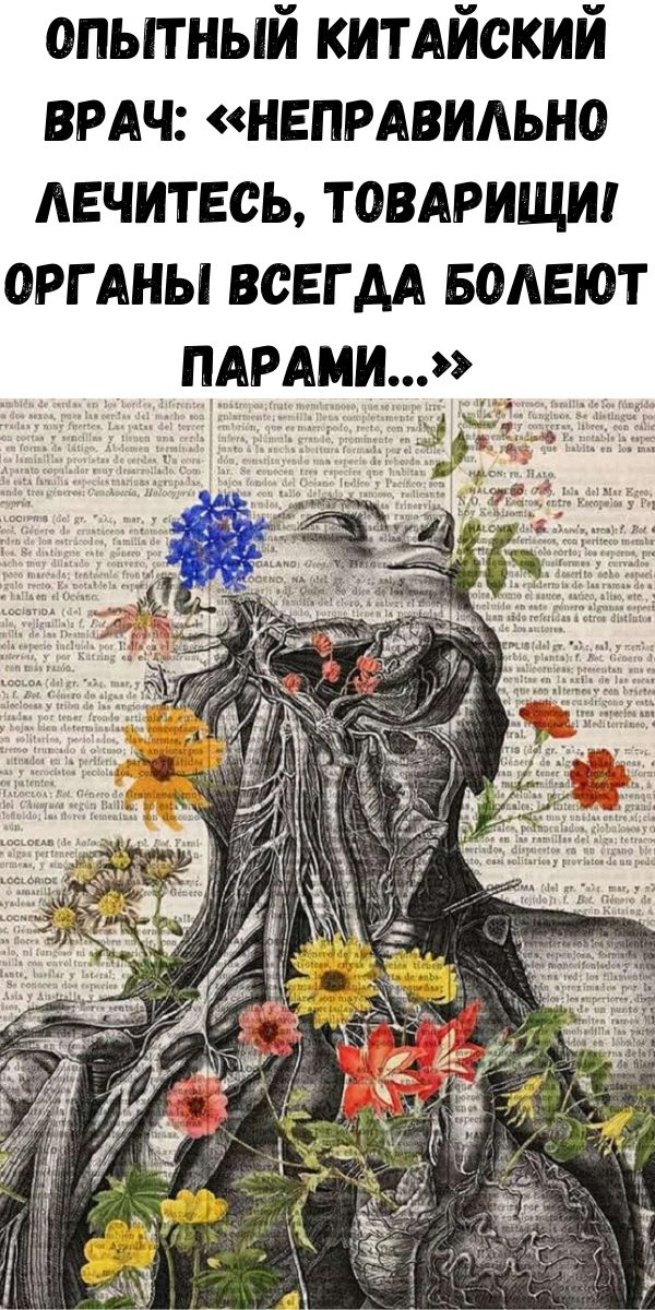 Опытный китайский врач: &laquo;Неправильно лечитесь, товарищи! Органы всегда болеют парами&hellip;&raquo;