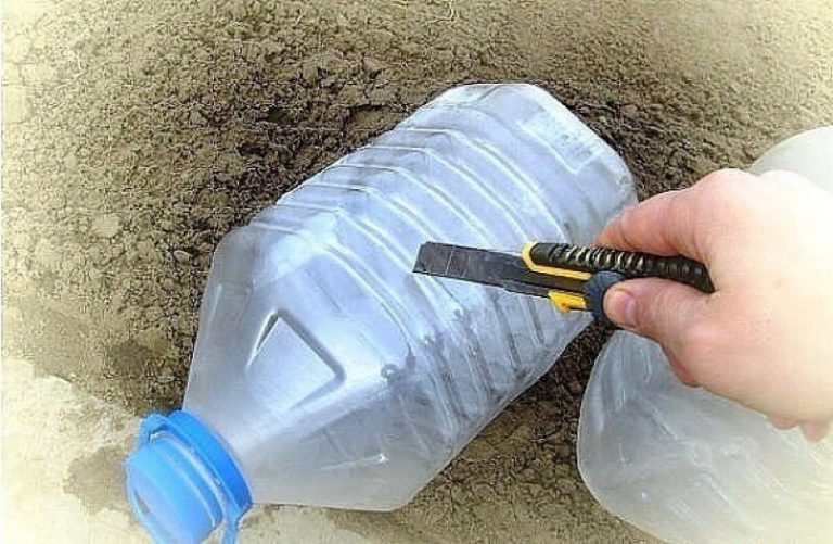 Новый способ — огурцы в бутылках, удобно и выгодно! Новый способ — огурцы в бутылках, удобно и выгодно!