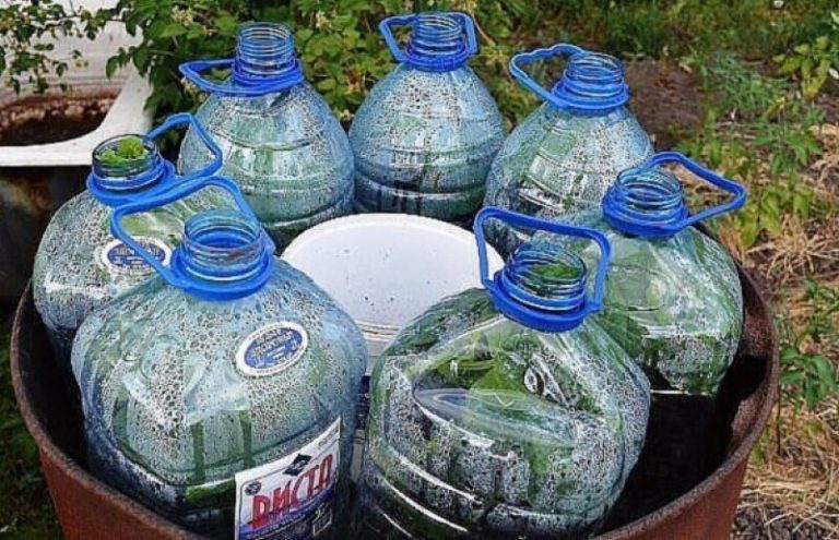 Новый способ — огурцы в бутылках, удобно и выгодно! Новый способ — огурцы в бутылках, удобно и выгодно!