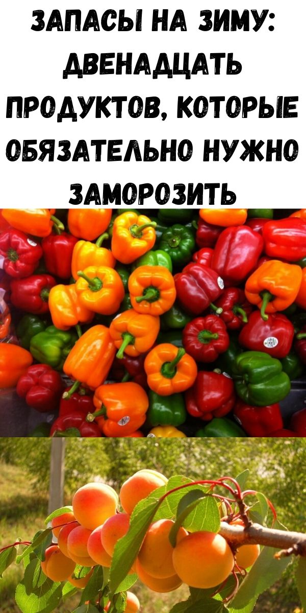 Запасы на зиму: Двенадцать продуктов, которые обязательно нужно заморозить
