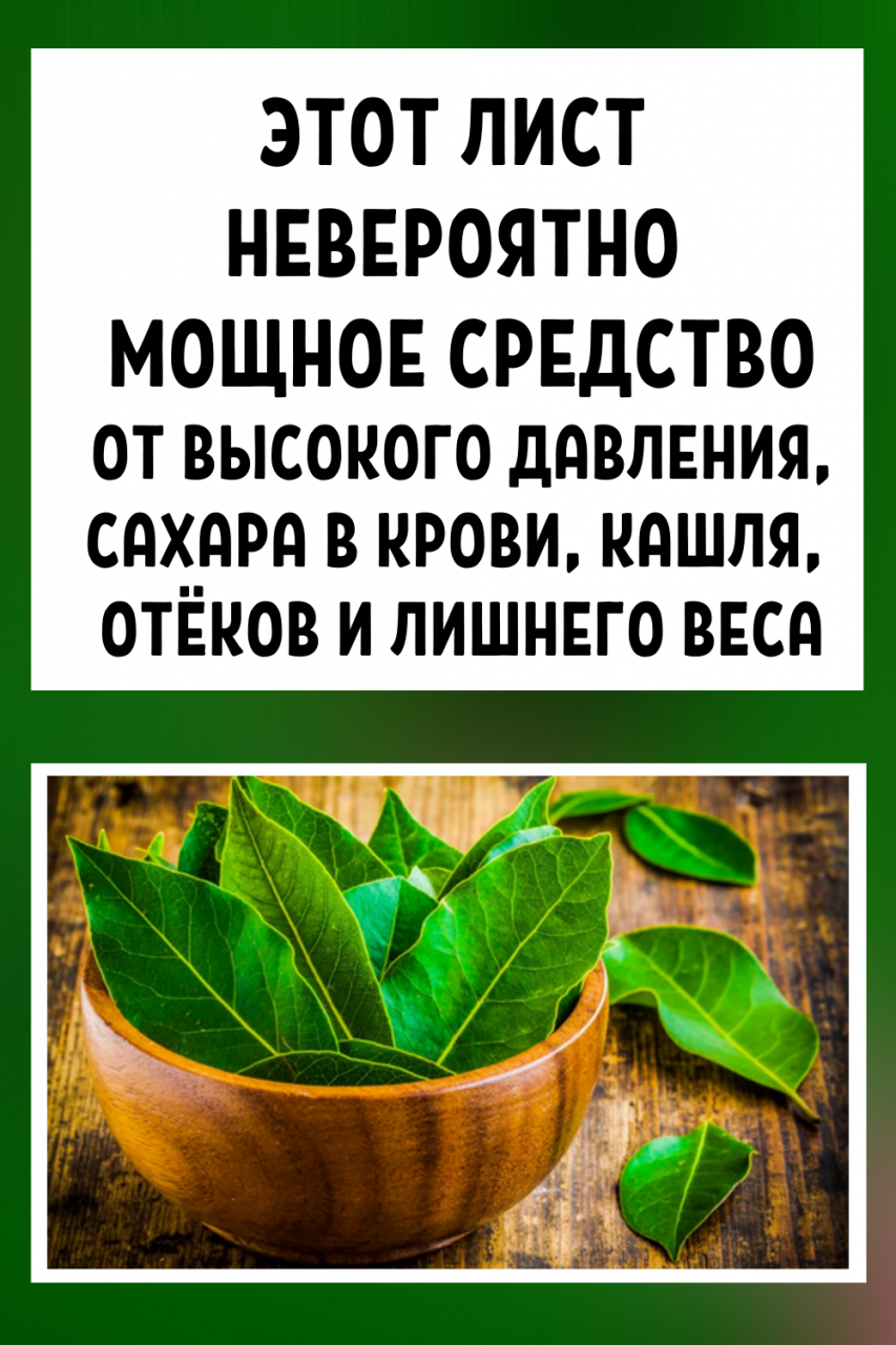 Этот лист — невероятно мощное средство от высокого давления, сахара в крови, кашля, отёков и лишнего веса! Этот лист — невероятно мощное средство от высокого давления, сахара в крови, кашля, отёков и лишнего веса!