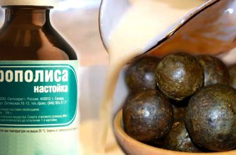 Прополисное молоко — суперцелебная настойка ото всех болезней. Уникальная и универсальная!