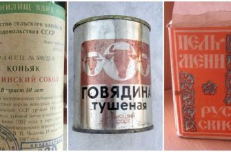 15 продуктов питания прямиком из СССР, с качеством которых мало что сравнится