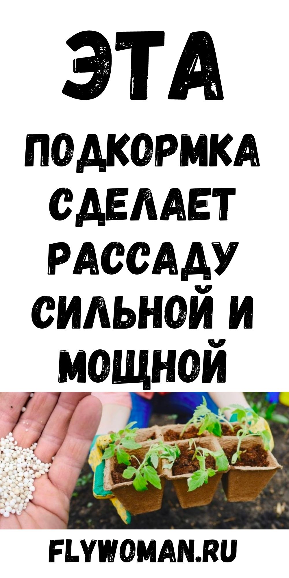 После такой необычной подкормки рассада вырастет толстенькой и мощной После такой необычной подкормки рассада вырастет толстенькой и мощной