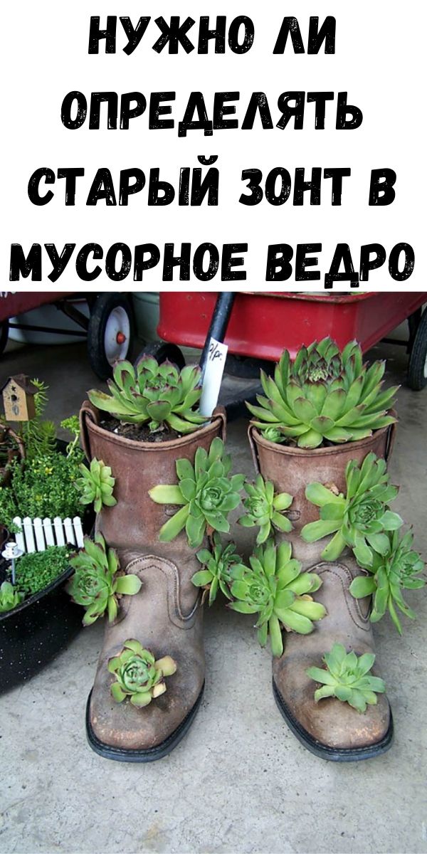 Нужно ли определять старый зонт в мусорное ведро