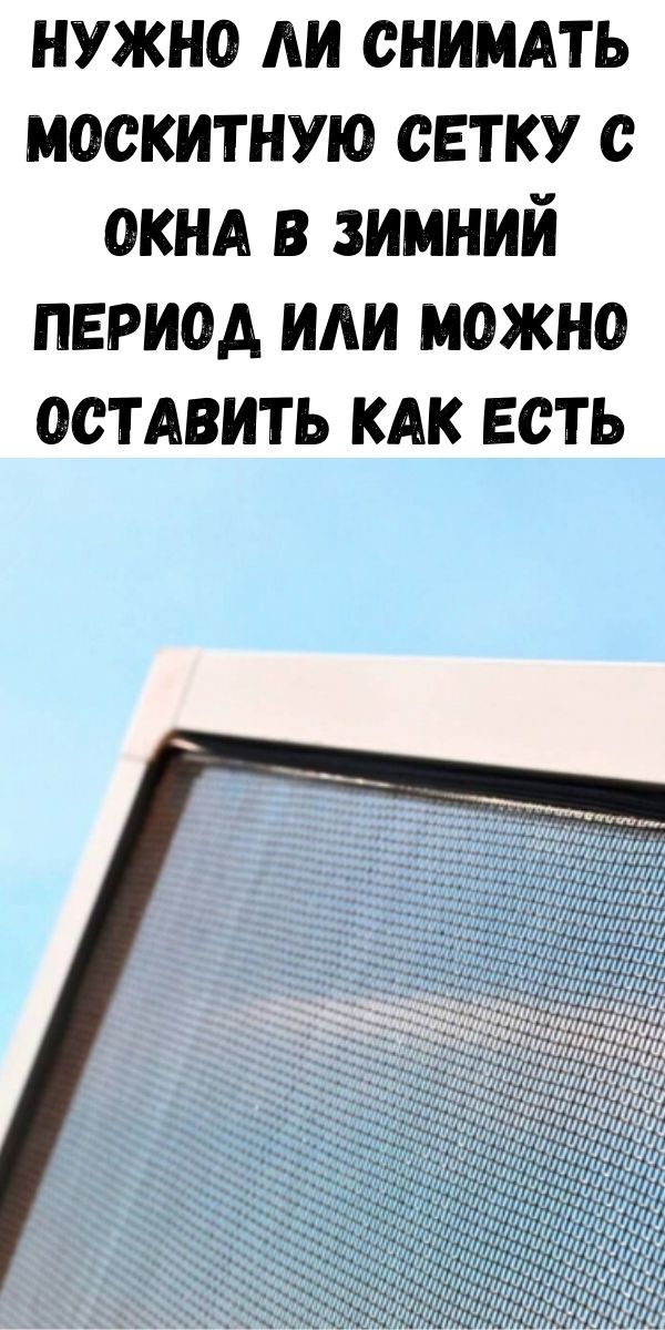 Нужно ли снимать москитную сетку с окна в зимний период или можно оставить как есть