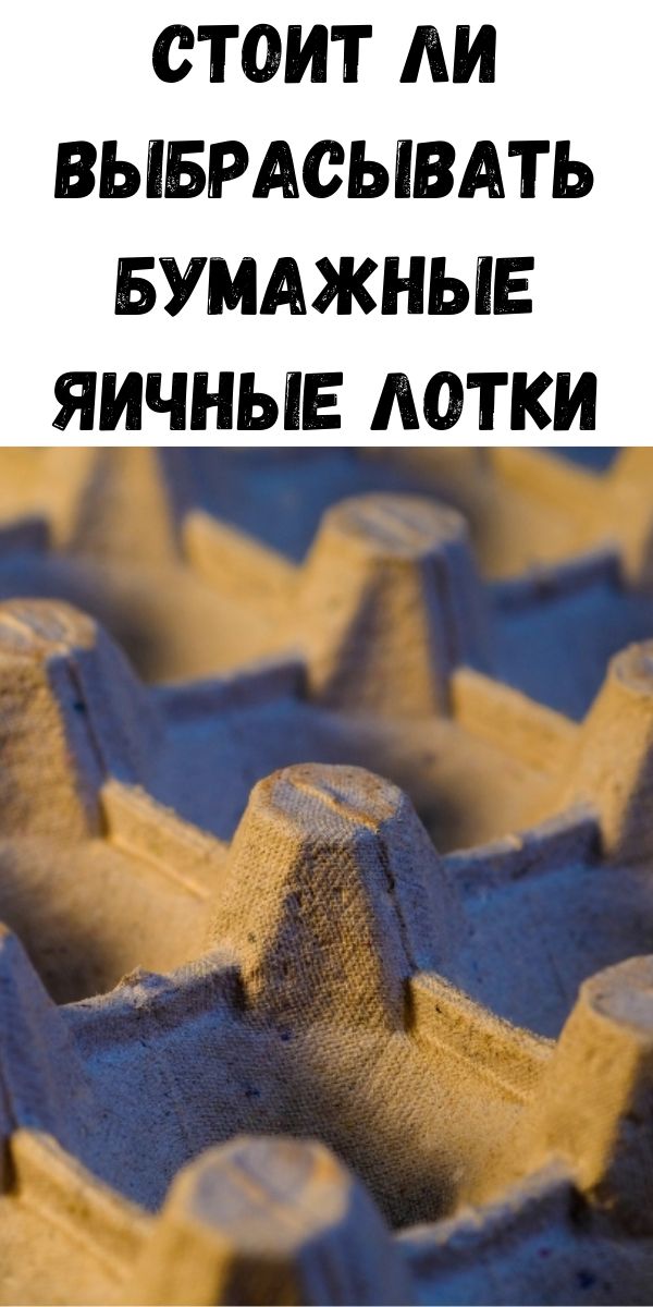 Стоит ли выбрасывать бумажные яичные лотки
