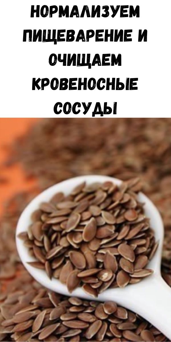 Нормализуем пищеварение и очищаем кровеносные сосуды Нормализуем пищеварение и очищаем кровеносные сосуды