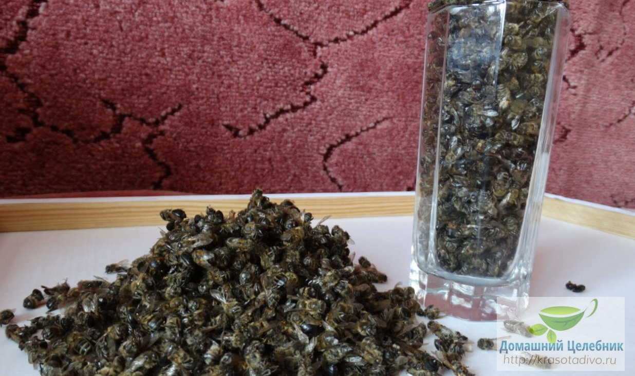 Настойка из пчелиного подмора — спасет от 100 болезней, даже онкологии...