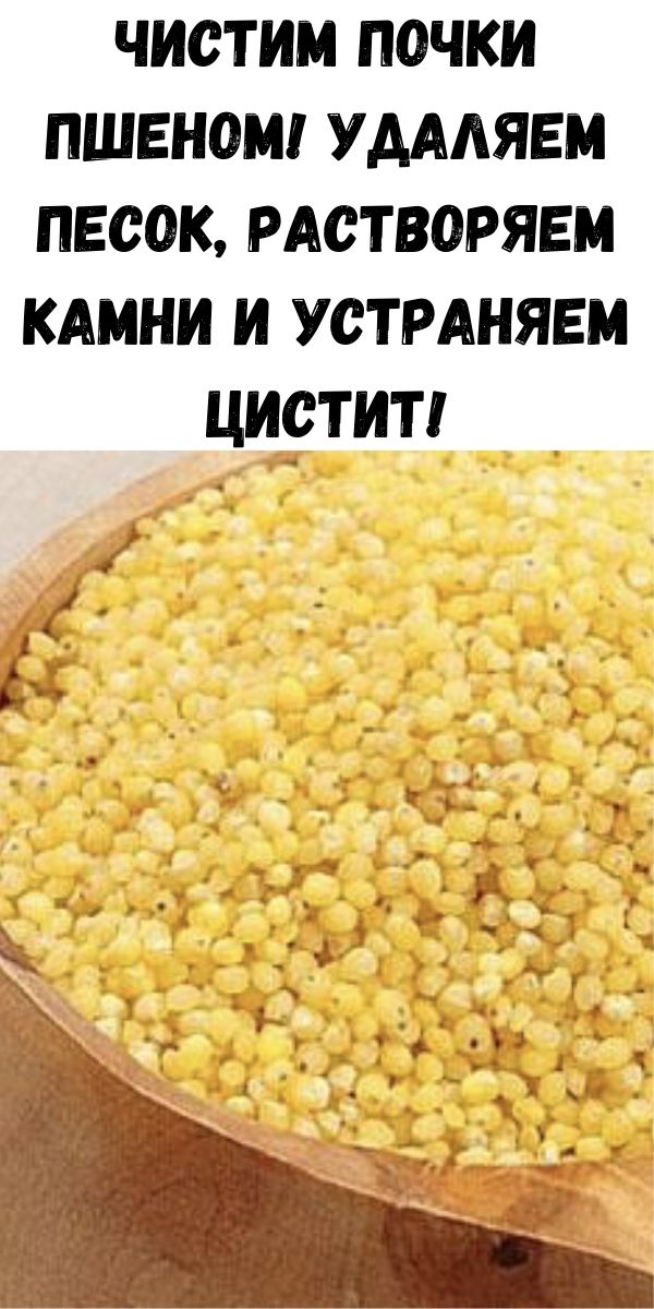 Чистим почки пшеном! Удаляем песок, растворяем камни и устраняем цистит!