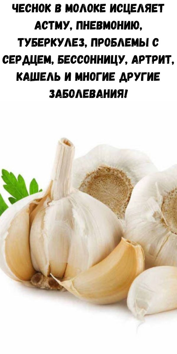 Чеснок в молоке исцеляет астму, пневмонию, туберкулез, проблемы с сердцем, бессонницу, артрит, кашель и многие другие заболевания!