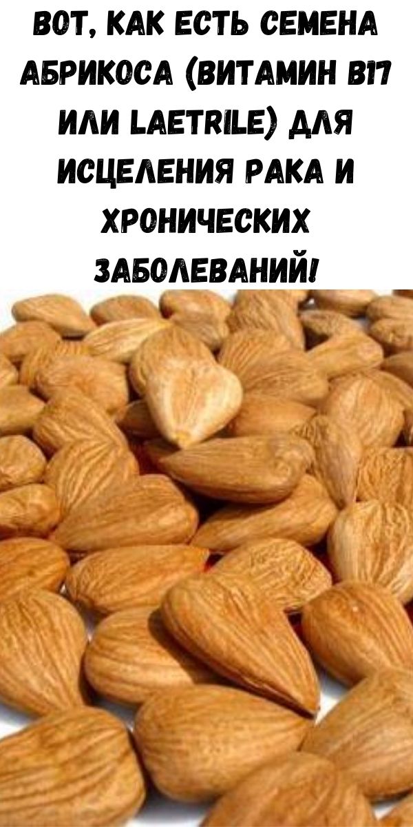 Вот, как есть семена абрикоса (витамин B17 или Laetrile) для исцеления рака и хронических заболеваний!