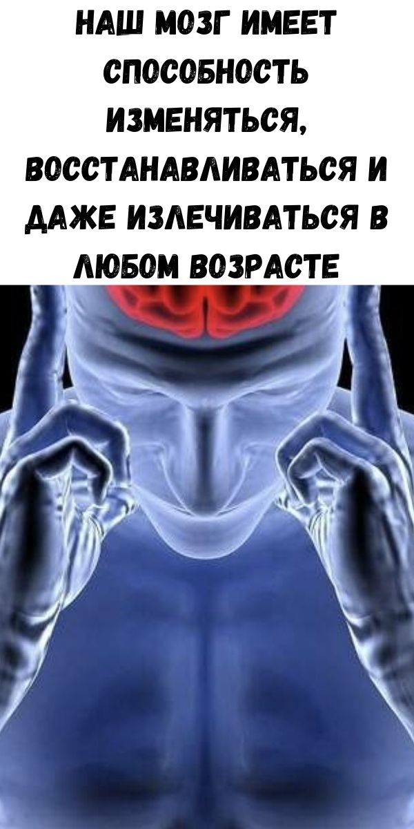 Наш мозг имеет способность изменяться, восстанавливаться и даже излечиваться в любом возрасте