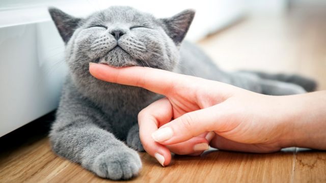 Счастливые люди живут дольше: 12 простых и мудрых секретов долголетия