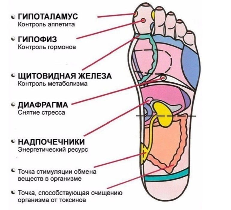 7 точек на стопе, которые вернут вам жизненную активность