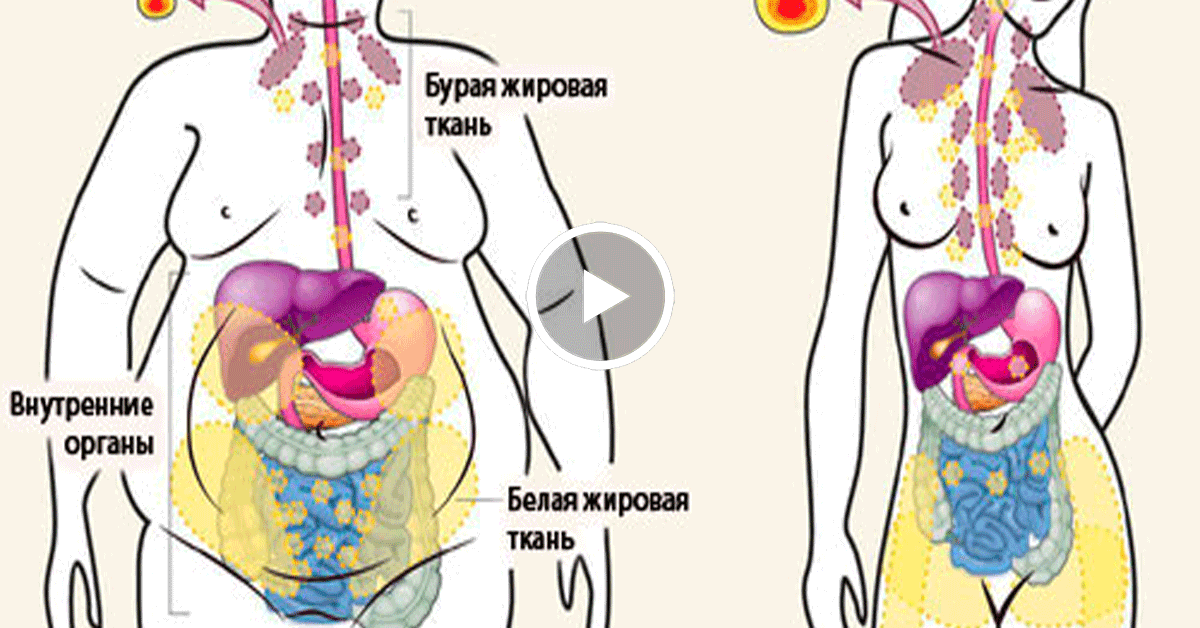Внимание! Это простое аптечное средство поможет вам быстро сбросить лишние килограммы!