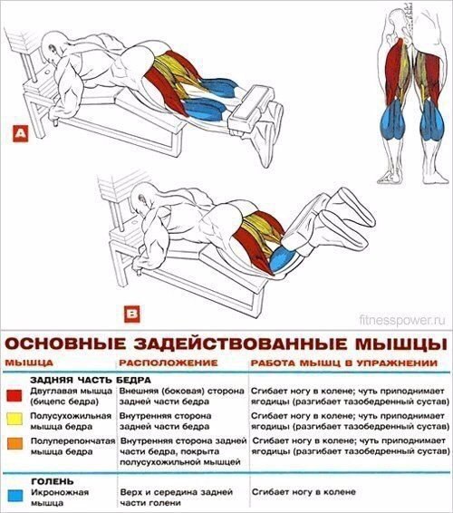 Основные упражнения для прокачки ног