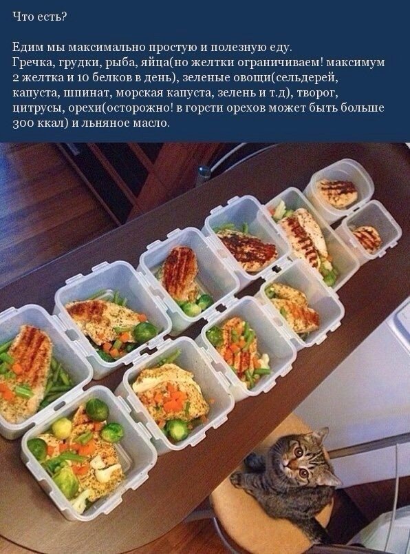 Правила питания простым языком!