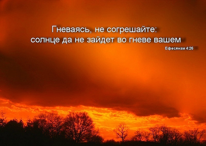 Получи свой совет из Библии по месяцу твоего рождения!