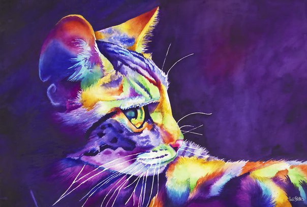 Кошка - индикатор кармы
