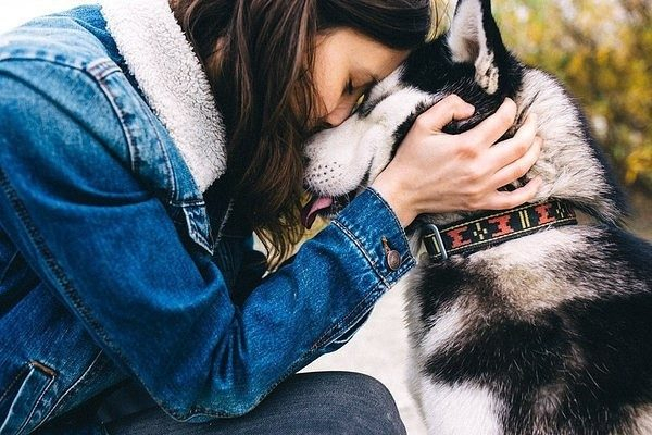 Я смотрю на людей и влюбляюсь в собак&hellip;